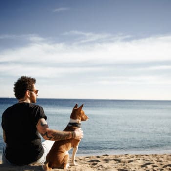 Caucasian man in sunglasses sitting in beach with friend’s dog